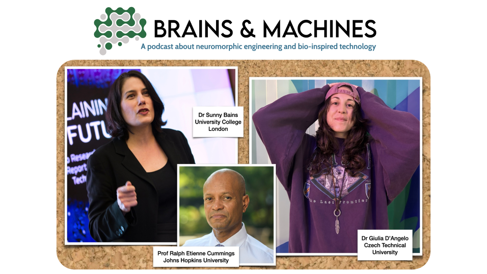 Brains & Machines Podcast