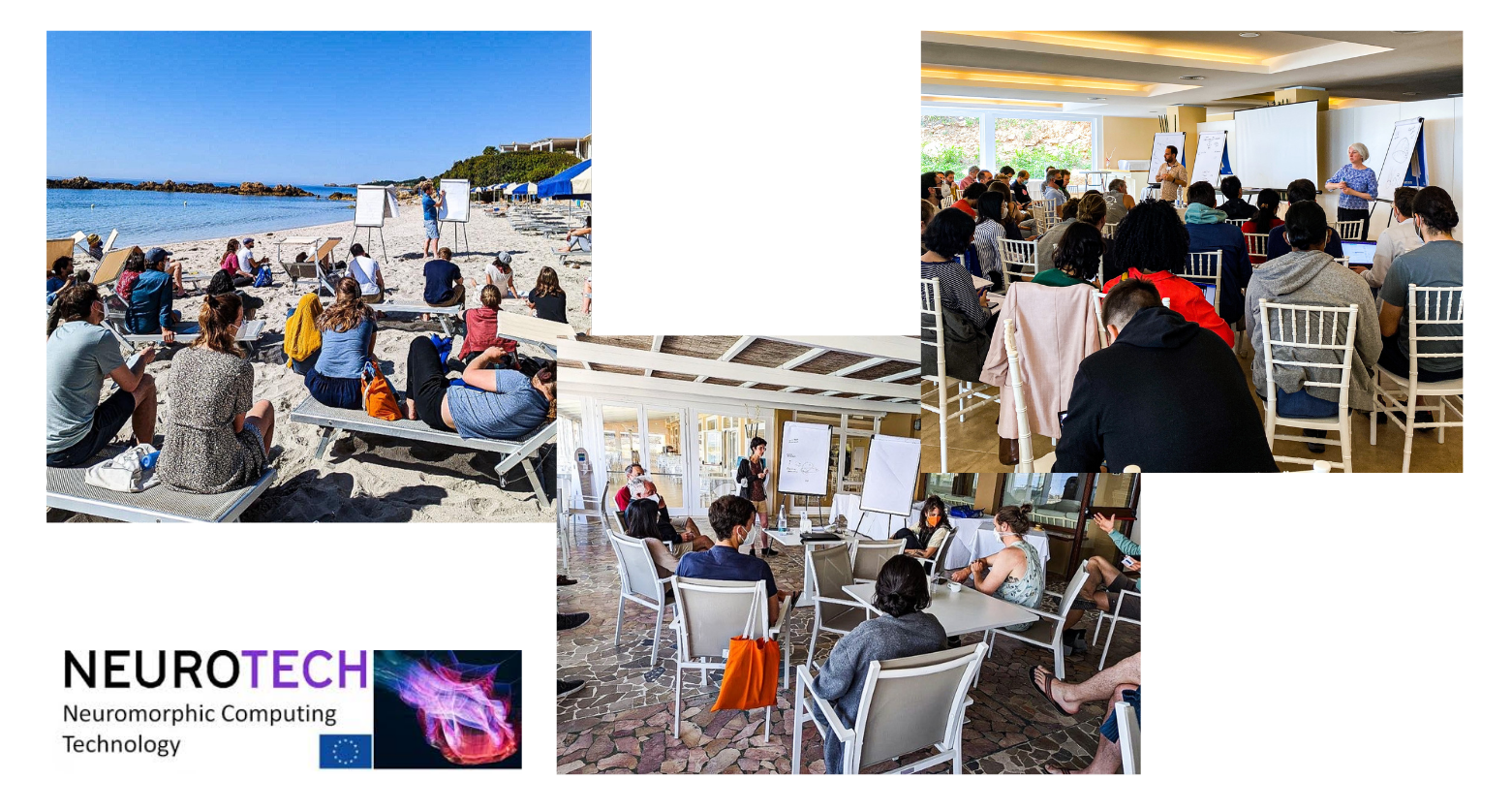 Neurotech EU Fellowship